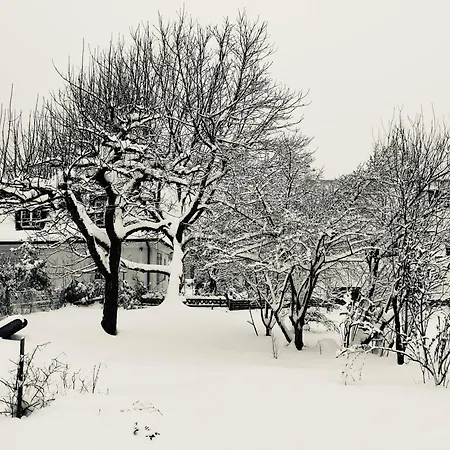 Gartenblick Apartment *