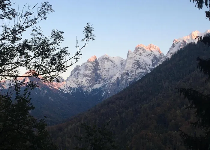 Gartenblick アパート *