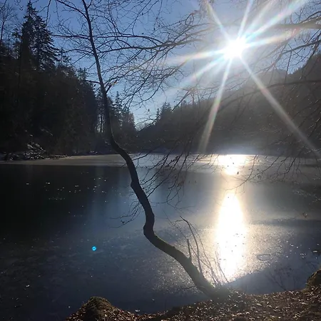 Gartenblick Appartamento