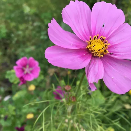 Gartenblick